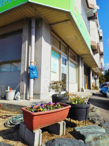 ひまわり鍼灸接骨院の鉢植えと外観