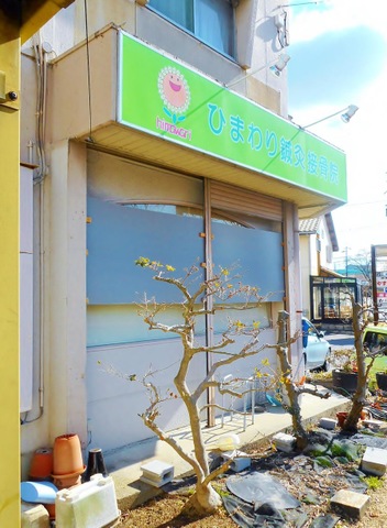 歩道からの庭園