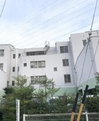 緑生苑