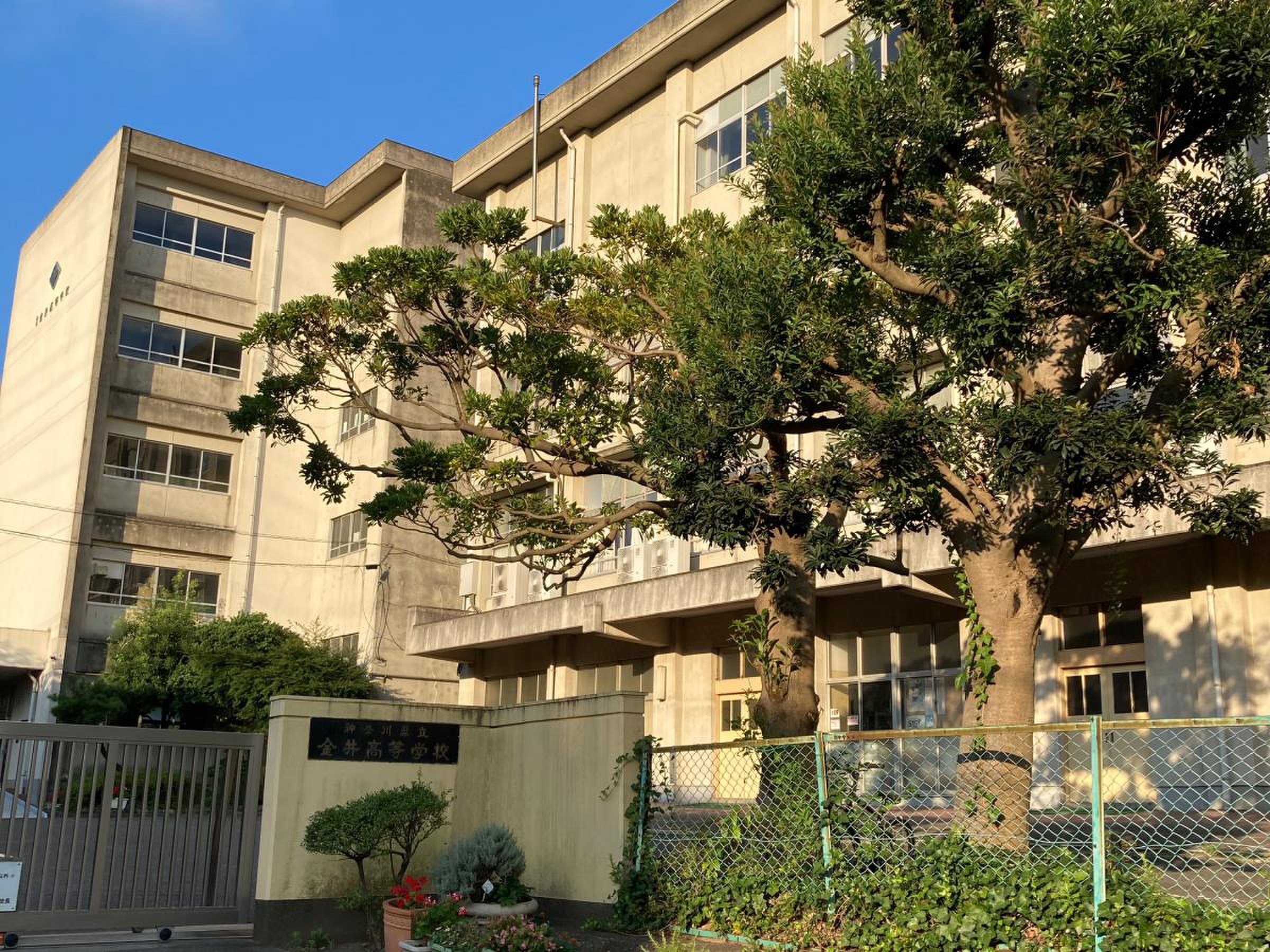 神奈川 県立 金井 高等 学校