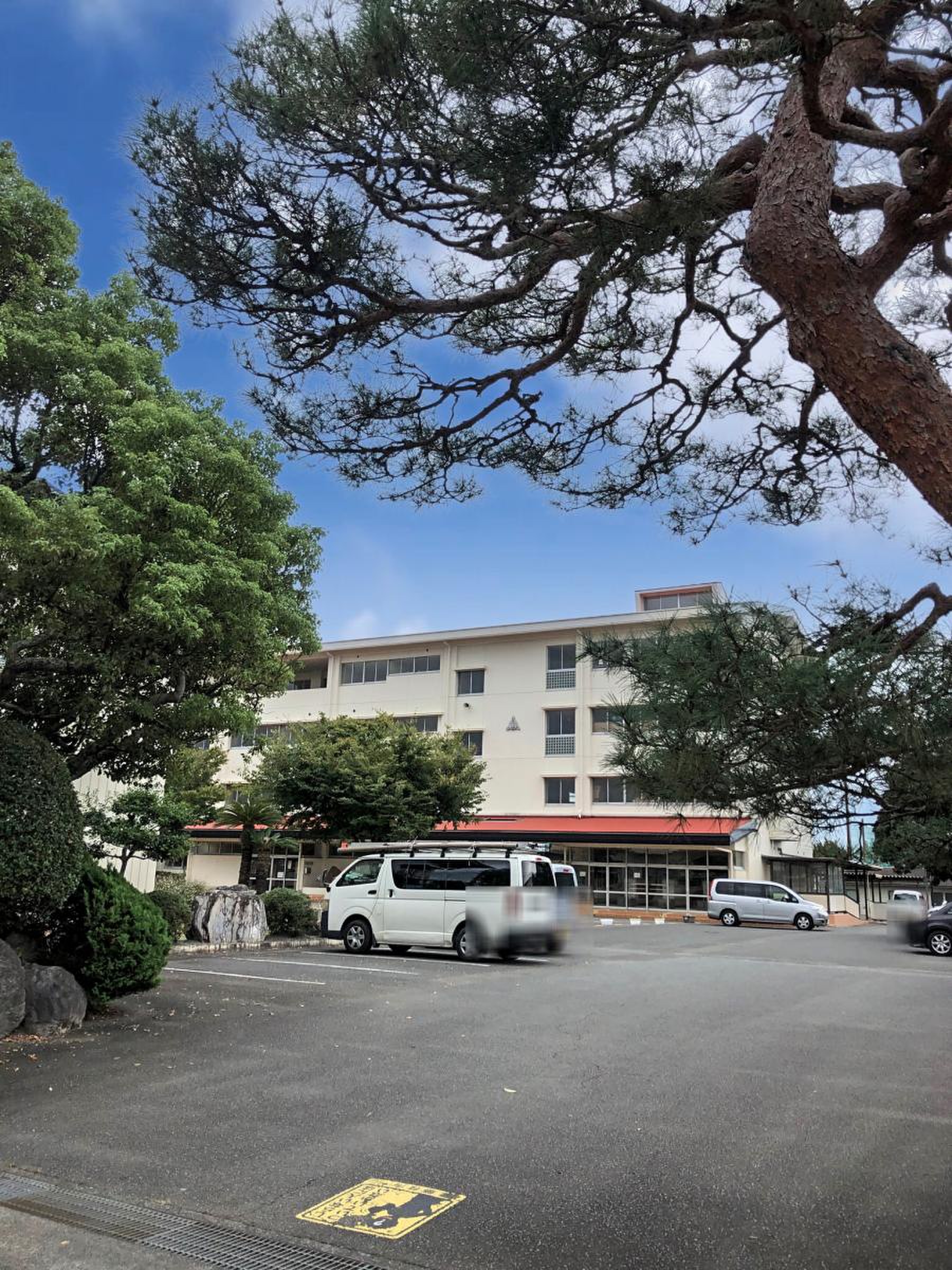 青島 東 小学校