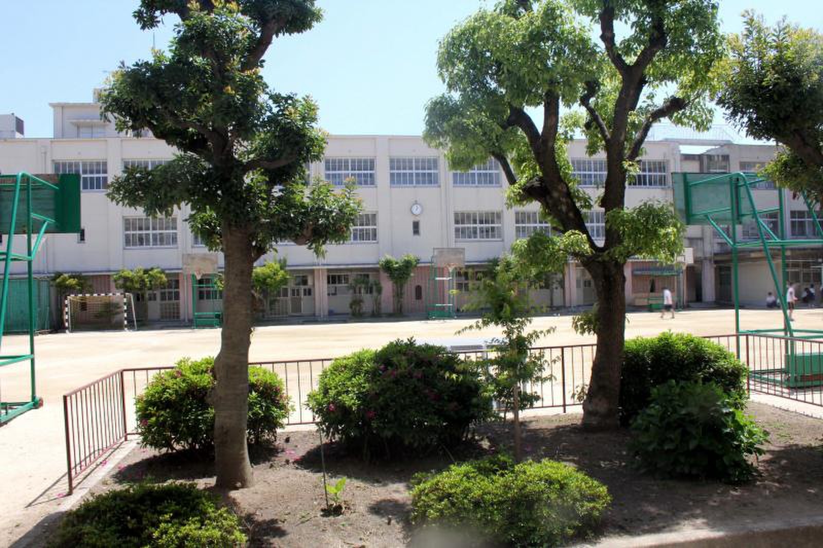 摂 陽 中学校
