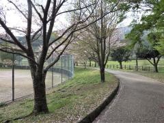 合馬竹林公園