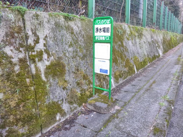 投稿写真2