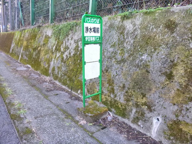 投稿写真1
