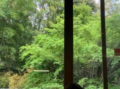 湯河原温泉　こごめの湯