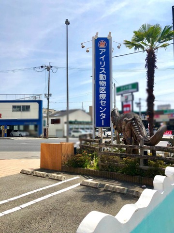 投稿写真5