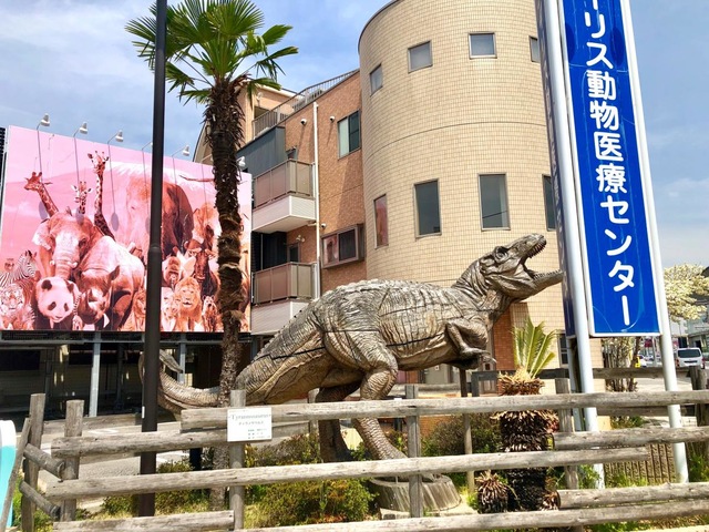 投稿写真1