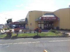ヨークベニマル　古川店