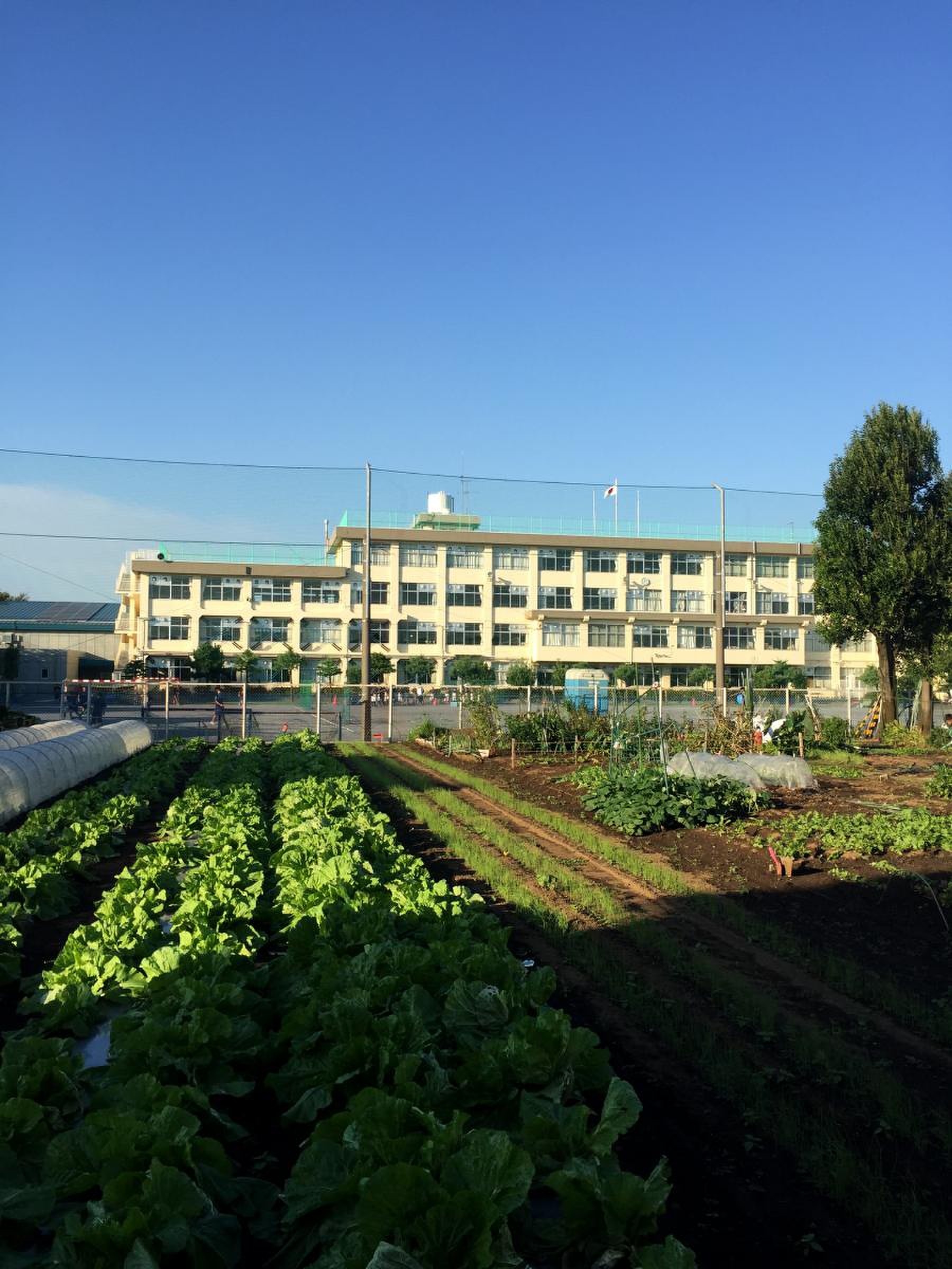 武蔵 村山 市立 第 四 中学校