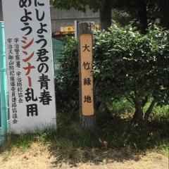 大竹緑地