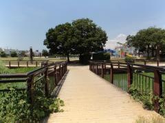 家原大池公園（向ケ丘公園）