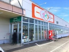 ザ・ダイソー　コープ鹿児島出水店