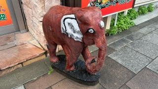 ダナパニ　川越・新宿町店