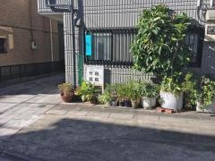 竹田医院