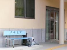 沢崎医院