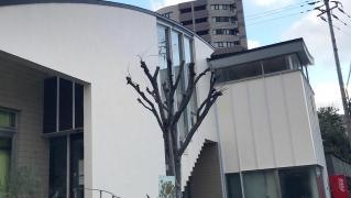 くろき・ひろクリニック形成外科・美容外科