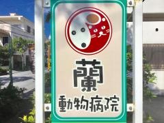 蘭動物病院