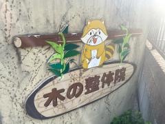 木の整体院