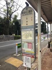 「善福寺公園」バス停留所
