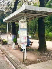 「善福寺公園」バス停留所