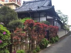 専称寺