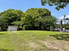 中ノ池公園
