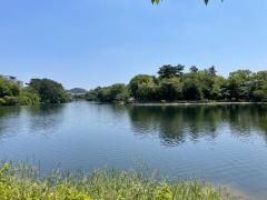 中ノ池公園