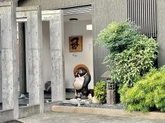 一本槍