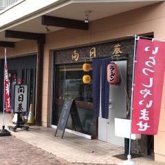 向日葵
