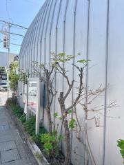 長野小隊
