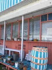 Ｅｎｅｒｇｙ　ｃａｆｅ　Ｏｐｅｎ　Ｓｅｓａｍｅ