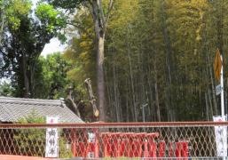 土田白鬚神社
