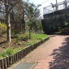清水堀緑地
