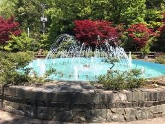新潟市秋葉公園