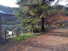 すずらん池
