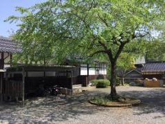 興禅寺