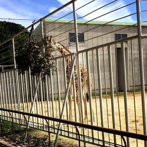 施設写真54