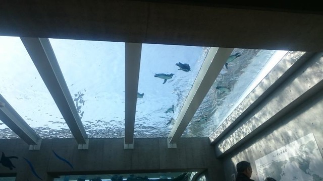 施設写真49
