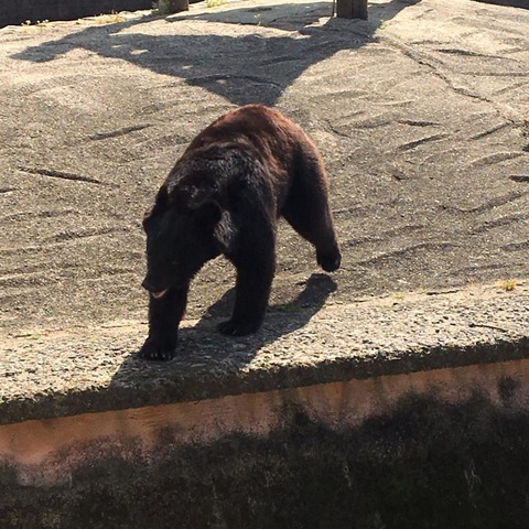 施設写真22