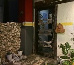 居酒屋色彩