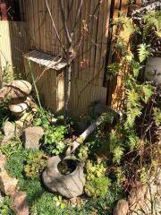 ま・めぞん炭火やき
