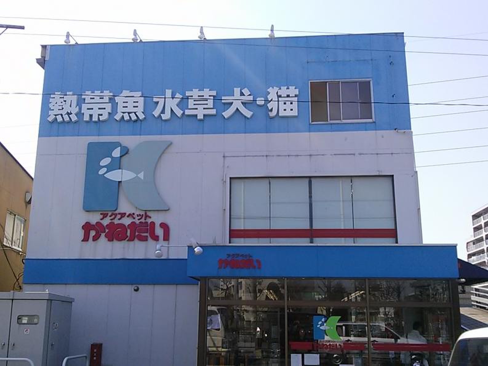 かねだい 草加 店