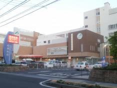 相澤病院