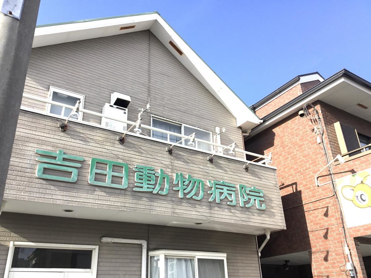 吉田動物病院