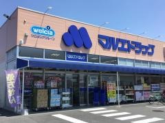 マルエドラッグ高崎下小鳥店