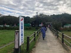 巾着田