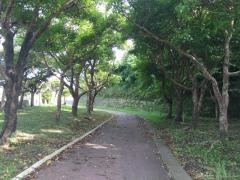 喜屋武マーブ公園
