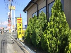 洋麺亭　太田店