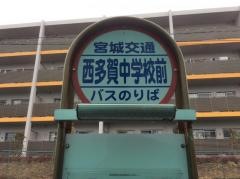 「西多賀中学校前」バス停留所